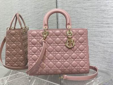 DIOR Handbags 1008